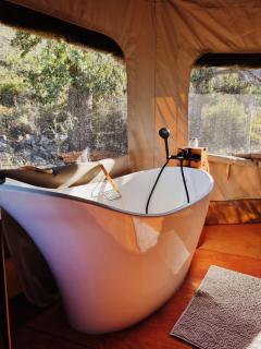 Oakron at Patatsfontein Stay - Montagu - 6