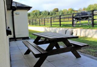 Cozy country cottage on Equestrian estate - Ashford - 5