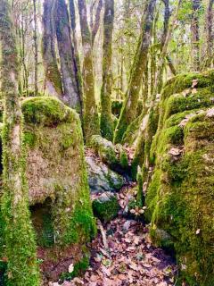 The Hideaway - 1