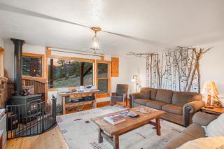 Sunnyside Cabin - Creede - Creede - 5