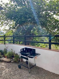Alpujarra garden oasis - Órgiva - 8