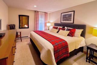E5 Beautiful Bretton Woods slopeside home amazing views of Mount Washington Hot Tub AC - Carroll - 9