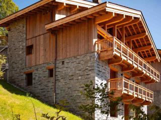 Chalet Neuf 12 Pers, Sauna, Garage, 100m Pistes, Proche Village - FR-1-570-50 - Saint-Martin-de-Belleville - 7
