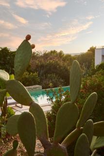 Villa Boho - Salignano - 8
