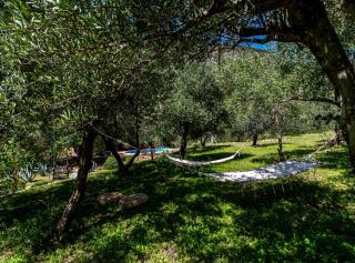 Stone House Anfitrite - Trstenik - 8