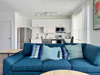 Luxury 1B1B with Balcony Downtown 542Blvd - Atlanta - 2