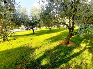 Hacienda MATEA, an oasis of romance near the beaches, surrounded by olive trees, pool, jacuzzi, playground, Istria - 7