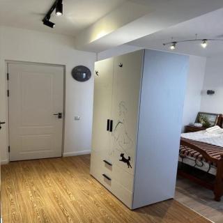 Superb loft Tashkent downtown - Tashkent - 9