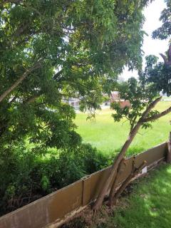 Graeme Hall Park Apartment - 6