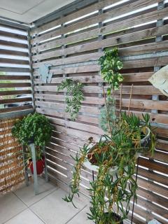 Appartement aux portes de l'ocean et de la ria - Plouharnel - 7