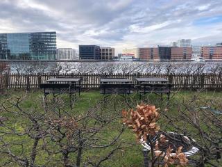 At the waterfront - 7