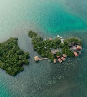 Urraca Monkey Island Eco Resort - 9