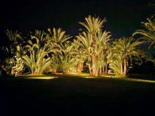Villa Oussoud - Marrakesh - 1