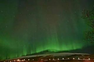 Moderne og privat leilighet i Tromsø- gratis parkering! - 9