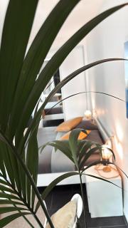 Marina Suites Tenerife - Puerto de la Cruz - 6