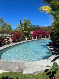 Peaceful Bliss Condo Inside A 6 Pool Complex - Coco - 5