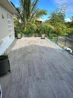 Les Dauphins Lataniers - 9