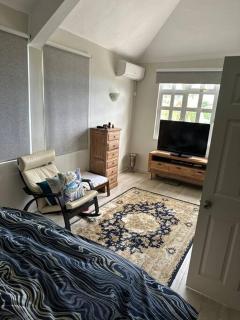 Les Dauphins Lataniers - 5