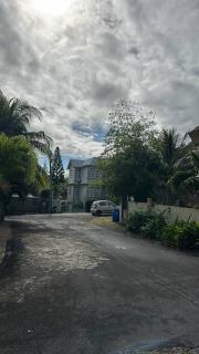 Les Dauphins Lataniers - 2