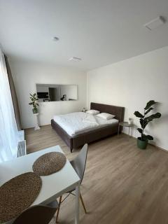 Apartament 2 - Medlánky - 7