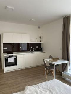 Apartament 2 - Medlánky - 2