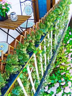 Precioso piso con increíbles vistas en Piedralaves, Tiétar - 0