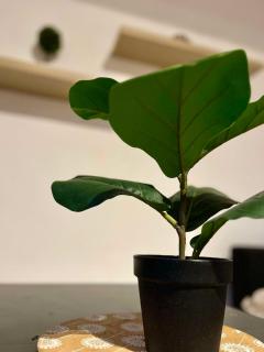 Lumineux Appartement - Quartier Louise - 1