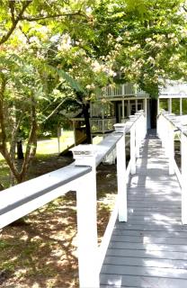 Three Story Tree House Close to Beach - 3