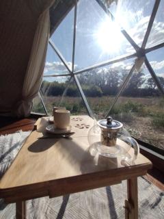 La Viella Glamp Sauco - 1