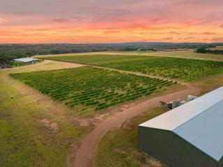 Ab Astris - Starry Night Cottage 1 - 5