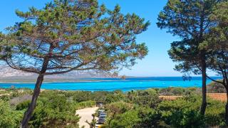 Villa Haass - Stintino - 9