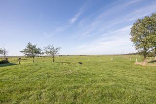 Maashof Schimmelreiter - Husum - 9