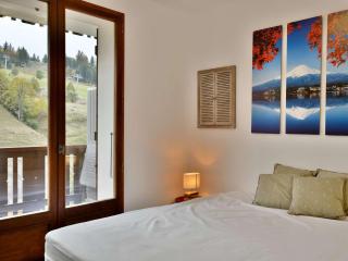 Confortable appart 6-8 pers au pied des pistes, centre Chinaillon - FR-1-467-131 - Le Grand-Bornand - 8