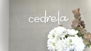 Cedrela - Comayagua - 7