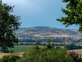 Modern house with pool overlooking hills - Montelupone - 3