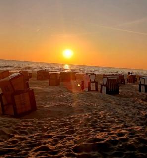 Ferienwohnung mit Terrasse - Insel Usedom - Trassenheide - 7