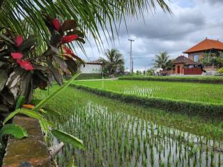 2 Villas - 2 Pools - Sleeps 9 - Ubud - 5
