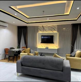 Luxury 2 bedroom with 24 hours Electricity - Lekki - 7