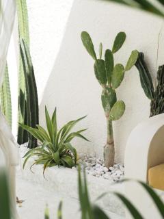 Stella Moon Villa Bali - 4