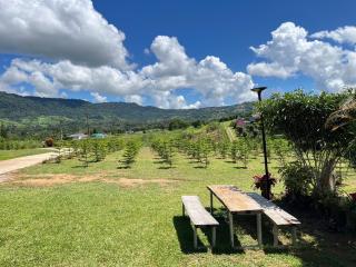 บ้านสวนหมอกเขาค้อ a2 - Khao Kho - 2