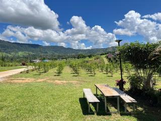 บ้านสวนหมอกเขาค้อ a2 - Khao Kho - 6
