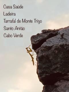 Casa Saúde - Seladinha - 9