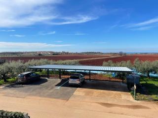 Apartments Tre Pini by Partner Tourist Agency - Umag - 1