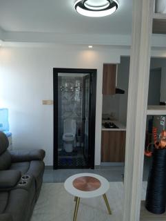 Classy Studio in Nairobi - Nairobi - 5