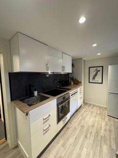 Aurora Polaris Apartment - Outdoor Sauna - FREE Parking - 750m from City Center - 8