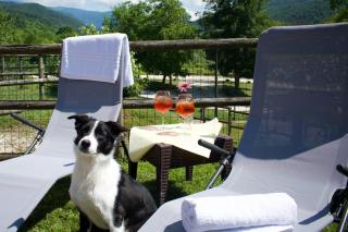 Agriturismo Monte Del Re - San Pietro al Natisone - 3