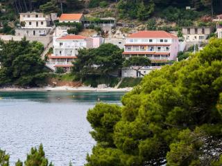 Apartments Franka Saplunara-One-Bedroom Apartment with Terrace and Sea View No1 - Saplunara - 6