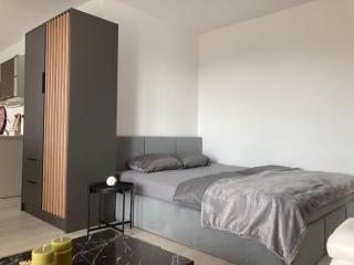 Apartmán blízko Centra Piešťany - Piešťany - 8