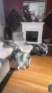 Boutique style accomodation near Busselton Jetty - Busselton - 6