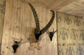 LOU Chalet Apartment Luis - Reith bei Seefeld - 9